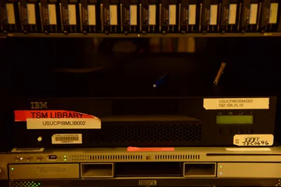 DSC_1366 (Large).JPG